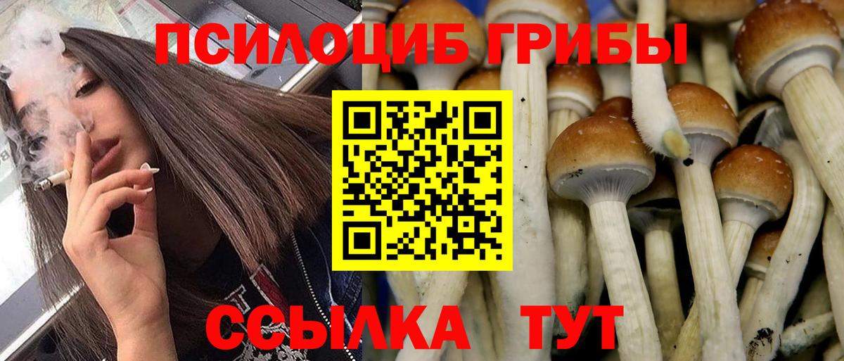 Псилоцибиновые грибы мухоморы Белово